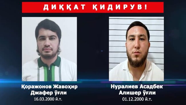 Появились новые подробности о массовой драке в Янгиюле