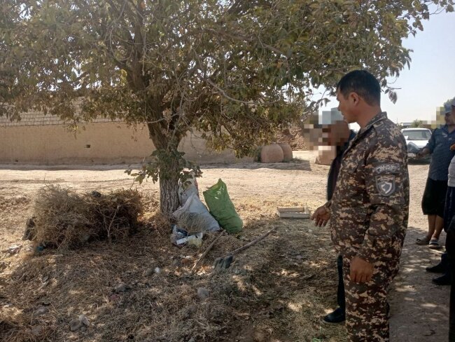 Житель Кашкадарьи выплатил более 10 млн сумов штрафа за повреждение дерева