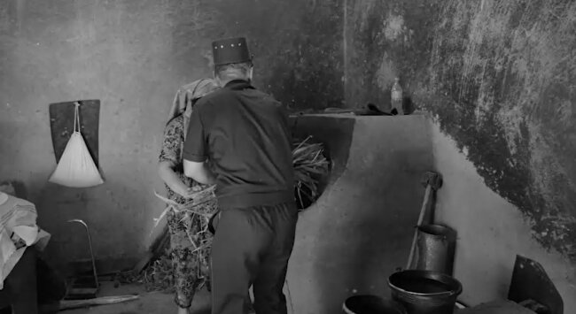 Жительница Бухары попыталась уничтожить кусты каннабиса в тандыре, когда к ней в дом постучался участковый