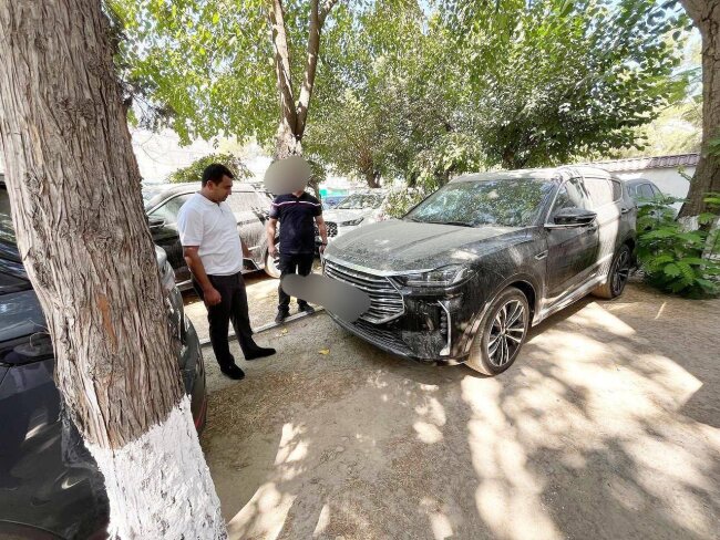 Жительница Ташкента за год собрала 354 штрафа за нарушение ПДД и не оплачивала их