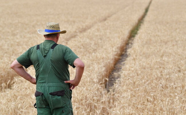 Кто выиграет от нулевой ставки НДС для фермеров в Узбекистане? Мнение эксперта