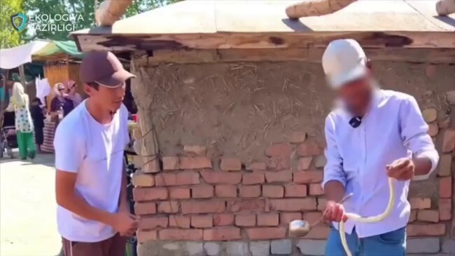 В Фергане готовили и продавали «целебные» супы из ежей и змей