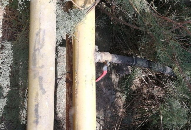 Владелец пекарни из Ферганы может на 15 лет сесть в тюрьму