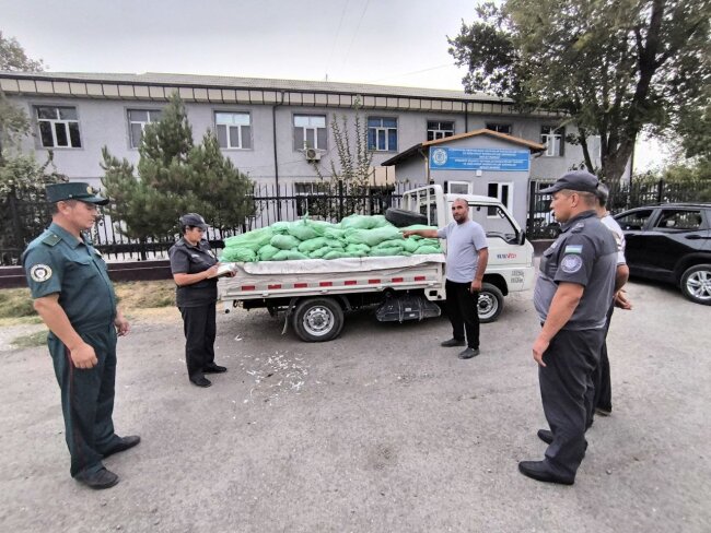 В Сырдарье пресекли перевозку в Ташкент трёх тонн непригодного куриного мяса