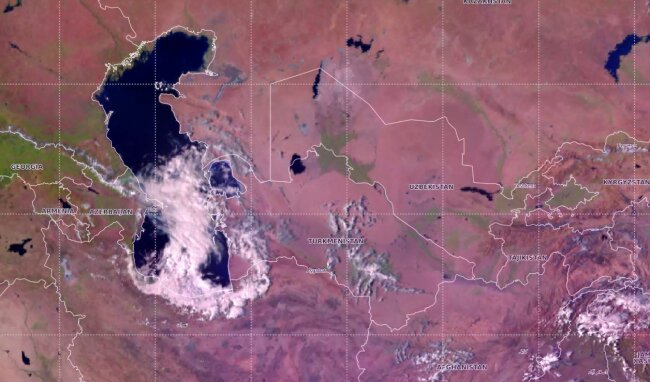 Сегодня в Ташкенте ожидается сильный ветер, возможна пыльная буря