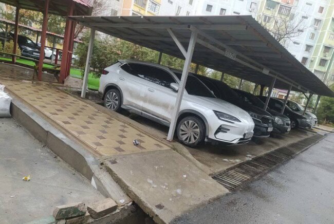 В Узбекистане планируют запретить бетонирование зелёных зон придомовых территорий