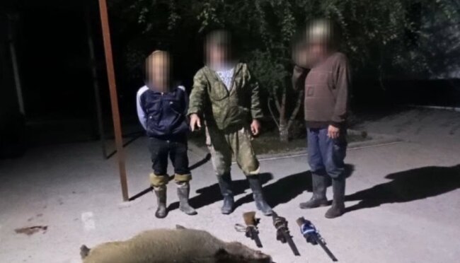 Экологи задержали трёх охотников, которые убили кабана в Гулистанском районе