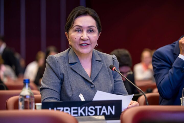 От Ташкента до Женевы: как Нарбаева продвигает права женщин