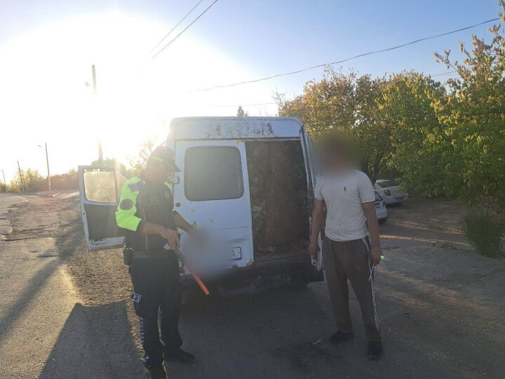 Житель Хорезма выплатит более 21 млн сумов за вырубку саксаула