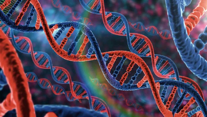 Каждый второй ребёнок в Узбекистане имеет генетические отклонения