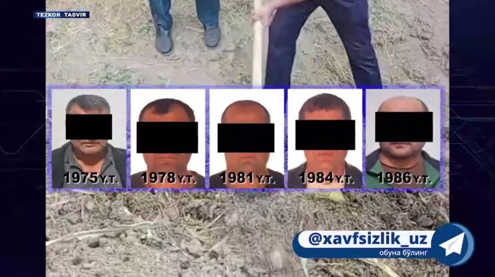 5 братьев из Ташкентской области оказались причастными к обороту наркотиков