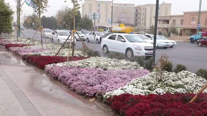 Что планируют сделать на улице Абдуллы Кадыри?