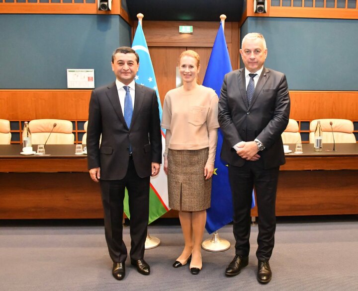 Ташкент и Брюссель нацелились на расширение сотрудничества