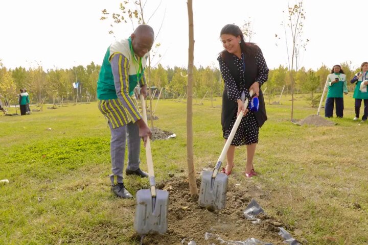Проект Зелёный сад запущен на территории Вечного города в Самарканде