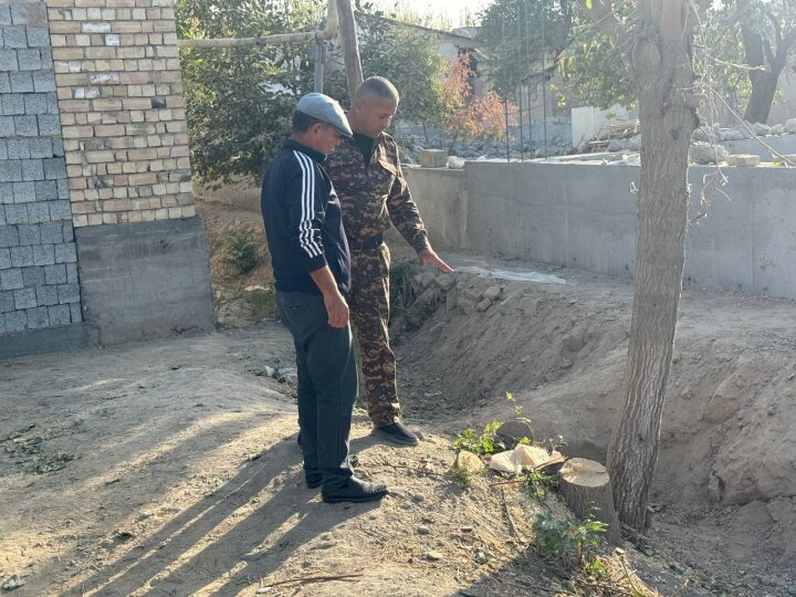В Каттакургане мужчина незаконно срубил дерево