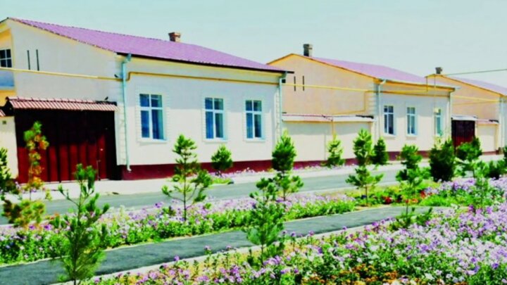 В Узбекистане появятся образцовые махалли