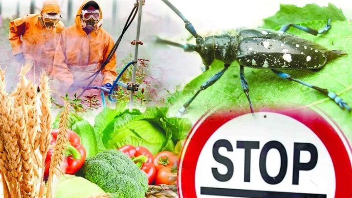 В Узбекистане улучшают фитосанитарный контроль