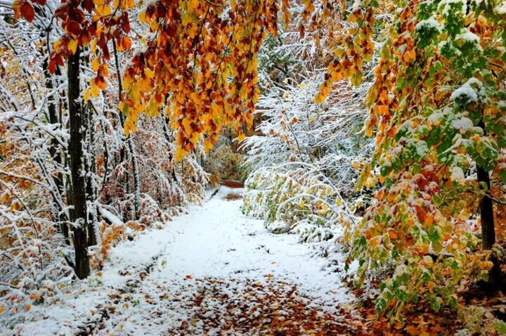 На Узбекистан надвигается зима