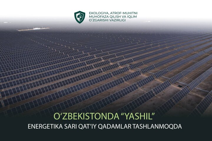 Как Узбекистан будет становиться «зелёным»?