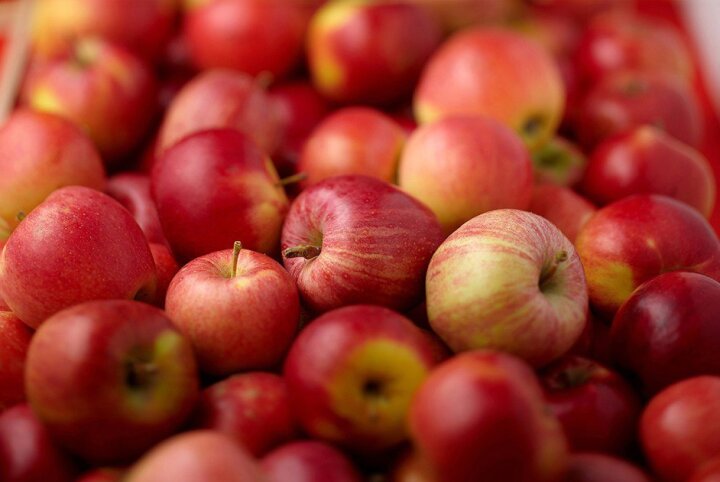 Узбекские яблоки принесли стране 11,6 млн долларов