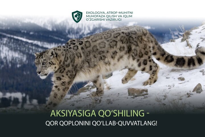 23 минуты ради снежного барса: Узбекистан запускает международную акцию #23for23