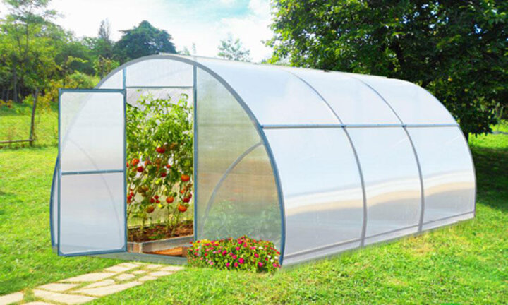 Тепличные хозяйства Узбекистана будут модернизированы