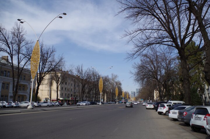 Ташкент: нарушения при озеленении улицы Бабура - начата проверка