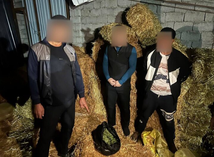 В Бостанлыке нашли килограмм марихуаны