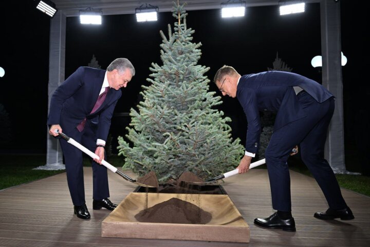 Шавкат Мирзиёев и Александр Стубб посадили дерево на Аллее почётных гостей