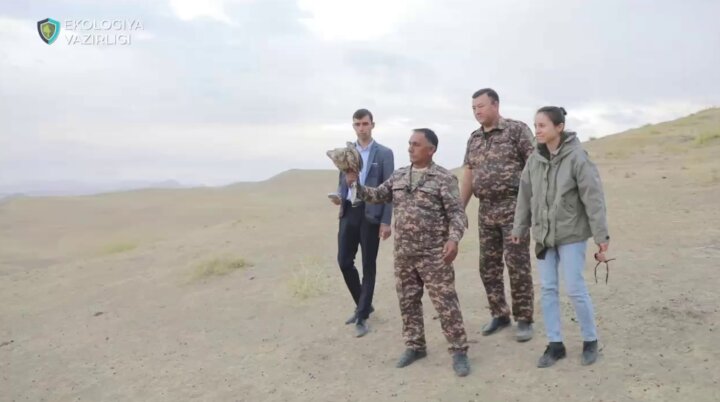 8 диких птиц выпустили на свободу в Ташкентской области