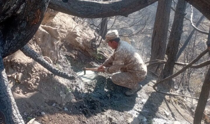 В Узбекистане начали работы по сохранению и поддержке диких животных в осенне-зимний период