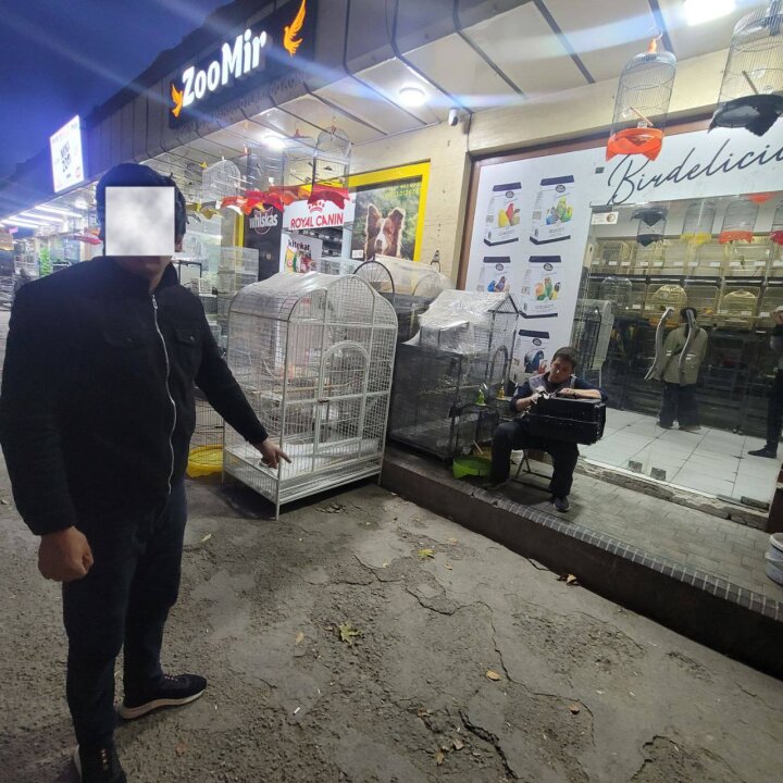 Экологи не смогли найти лемура на птичьем рынке Ташкента