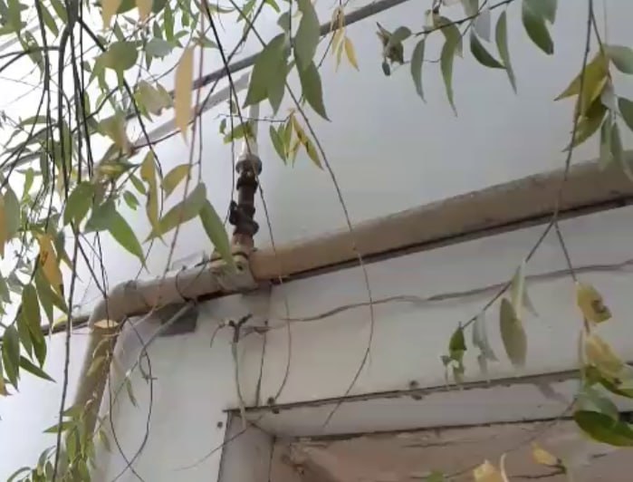 Незаконное потребление газа выявлено на птицеферме в Фергане