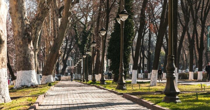 Какая погода ждёт узбекистанцев в начале зимы?