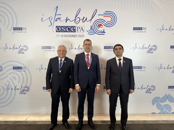 Межпарламентские связи Узбекистана и Румынии обсуждены в Стамбуле
