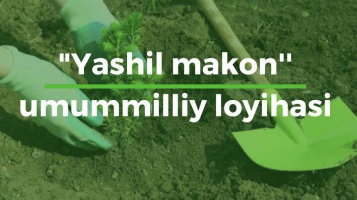 В Сырдарьинской области высажено 147 520 саженцев