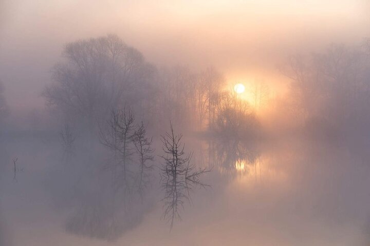Во всех регионах Узбекистана 28 ноября местами возможен туман