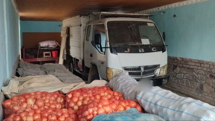 Осужденный «черный» лесоруб из Джизака не хотел платить штраф