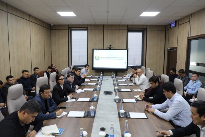 Ни тийина лишнего: в Минэнерго Узбекистана разобрали, куда ушли средства за 10 месяцев