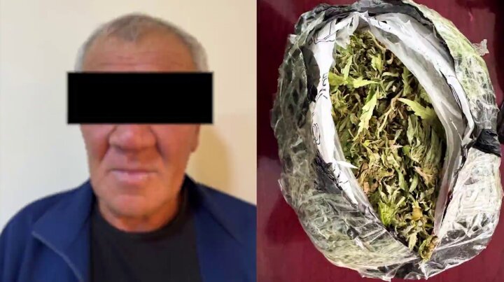 Пенсионер из Джизака торговал марихуаной