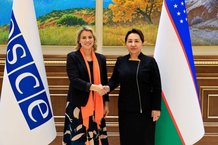 В Ташкенте обсудили с ОБСЕ борьбу с гендерным насилием