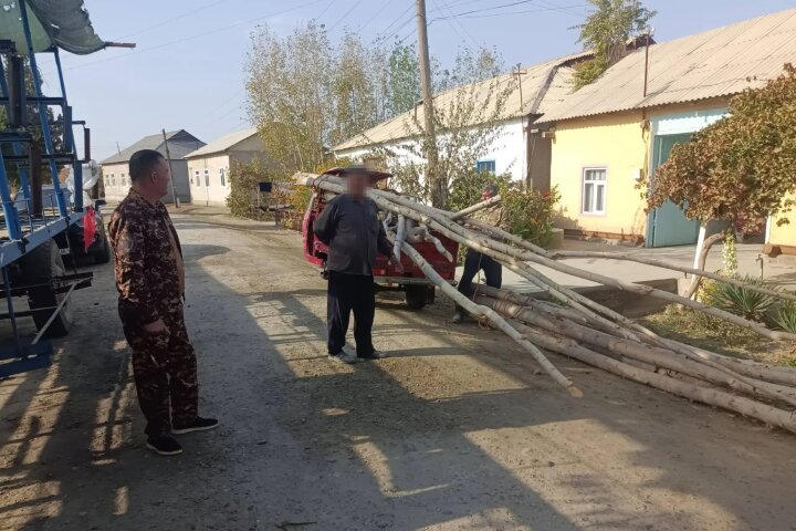 В Бухаре фермер выплатит 25 млн сумов ущерба за вырубку деревьев