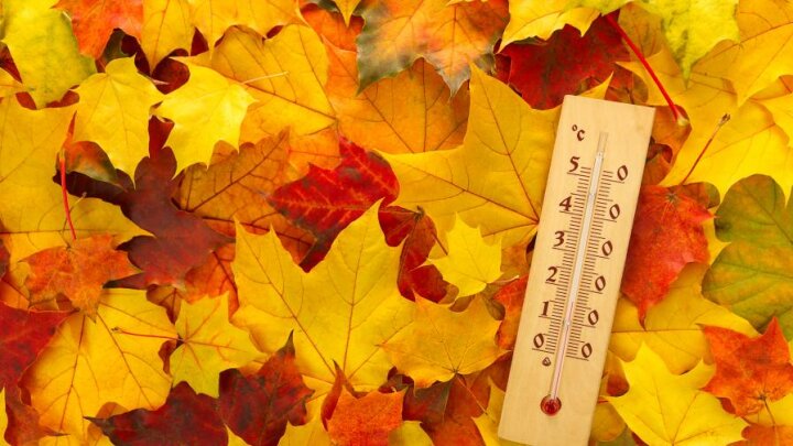 29 ноября в Узбекистане без осадков и переменчивая погода