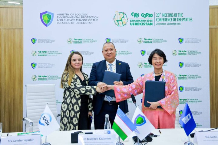 В шести регионах Узбекистана стартовал проект восстановления экосистем