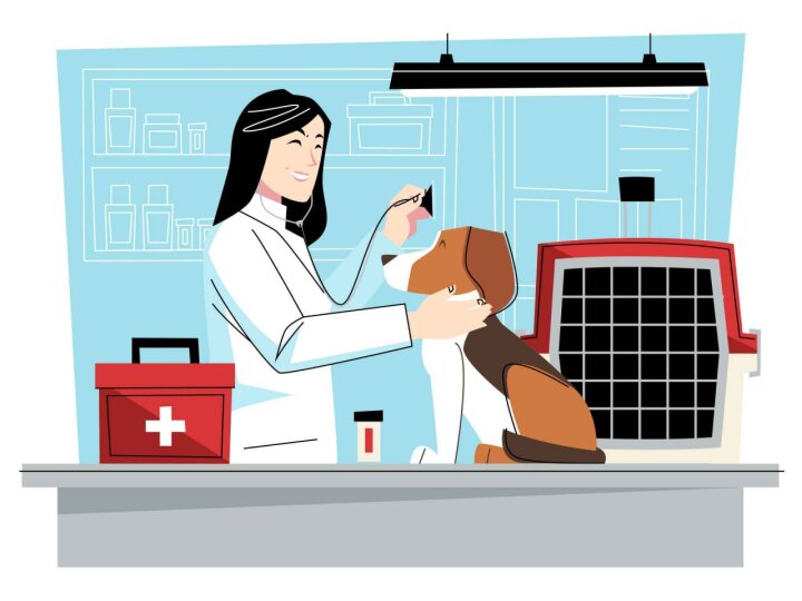 Жители Узбекистана за 10 месяцев потратили 290,7 млрд на ветеринарию