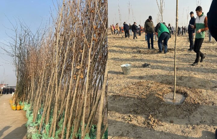 В Ташкенте на 5 гектарах создают новую зеленую зону
