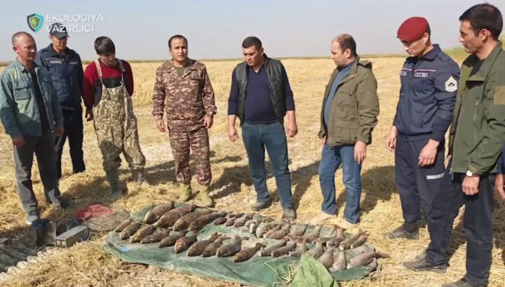 В Сырдарье браконьеры использовали электроудочку