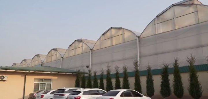 Заключаются договоры на поставку газа теплицам Ташкента