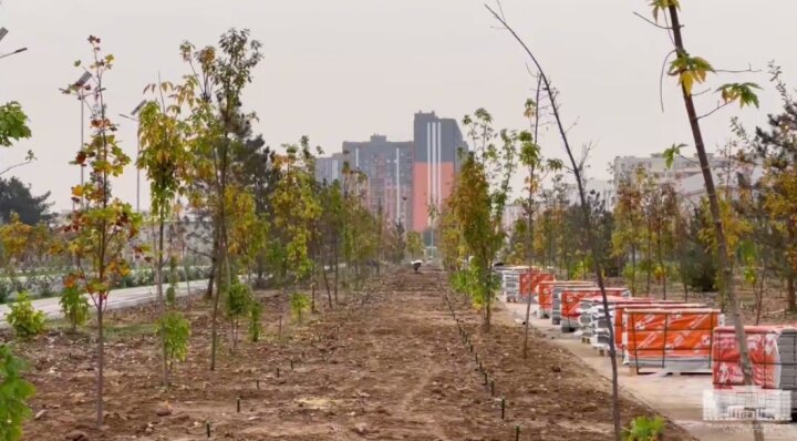 Хокимият Ташкента начал адекватно реагировать на экологические проблемы