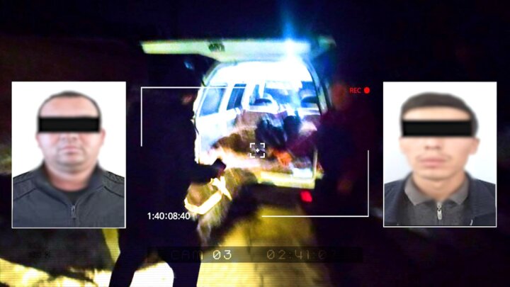 В Ташкентской области задержаны похитители скота из шести домохозяйств